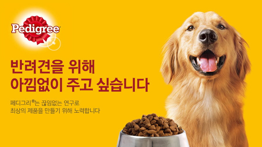 멍멍몰 멍멍몰